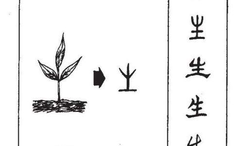 桔梗夏枯草的功效与作用及食用方法-夏桔梗功效网 :分享夏桔草怎么吃效果最好-夏桔草功效与主治知识